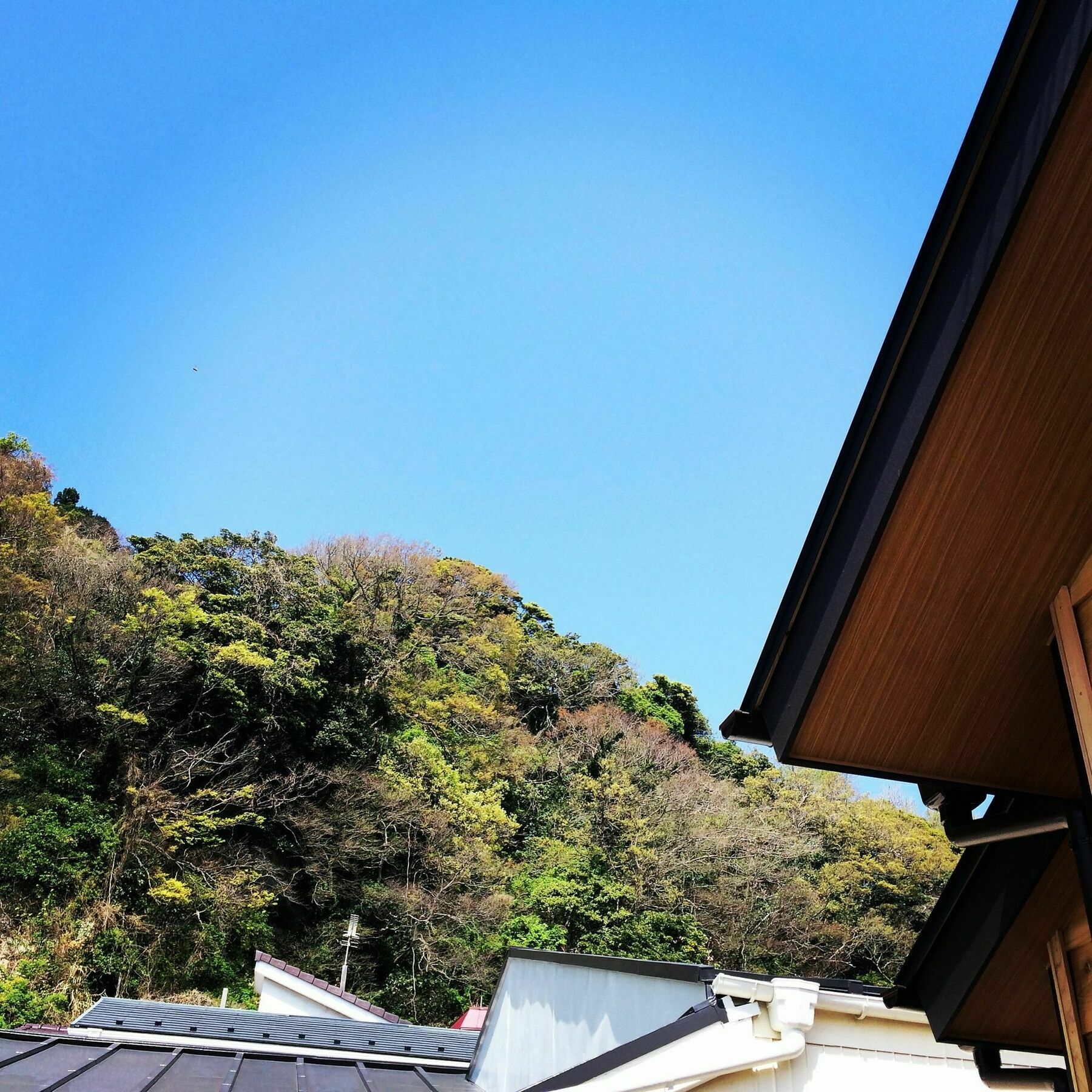 Guest House Kamakura Zen-Ji Exteriör bild