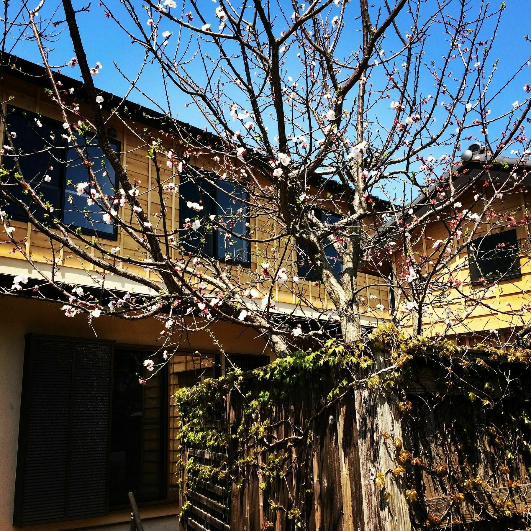 Guest House Kamakura Zen-Ji Exteriör bild
